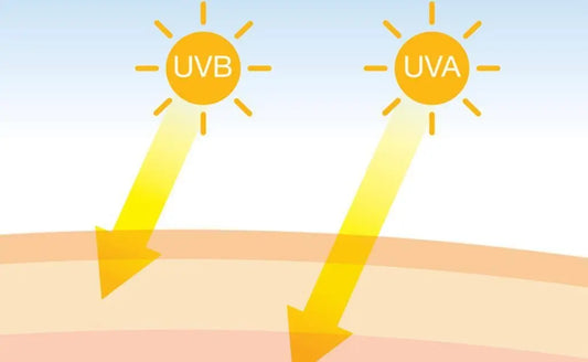 Comment Choisir le Bon Écran Solaire pour Votre Peau : Guide Complet Retinight